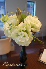 �g���R�L�L���E