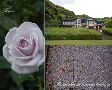 ���q���w��