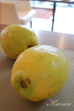 �ԗ��i�J�����j