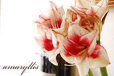 �A�}�����X